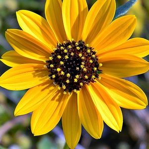 Meet your Posher, Meghan